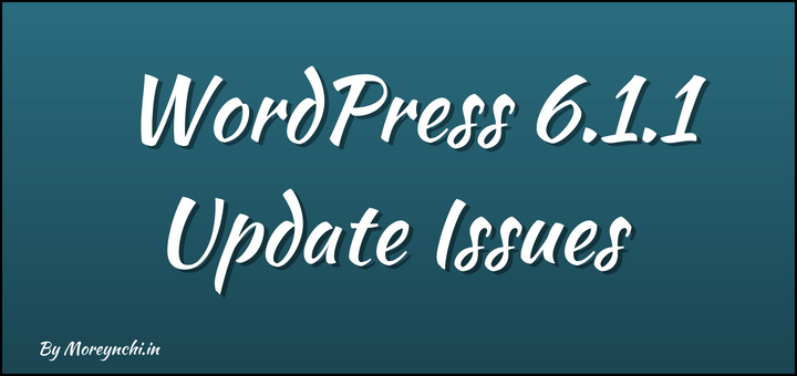 WordPress 6.1.1 Update Issues