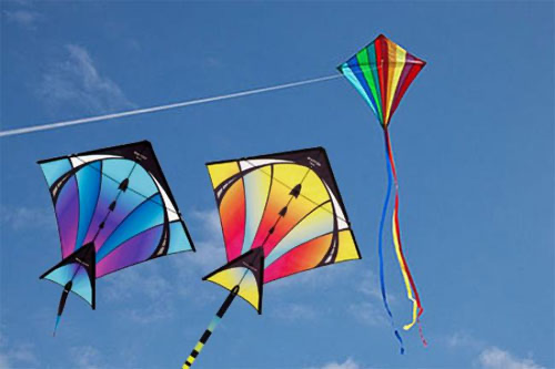 Makar Sankranti 2024